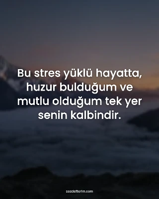 Bu stres yüklü hayatta, huzur bulduğum ve mutlu olduğum tek yer senin kalbindir.