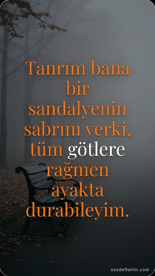 Tanrım bana bir sandalyenin sabrını verki, tüm götlere rağmen ayakta durabileyim