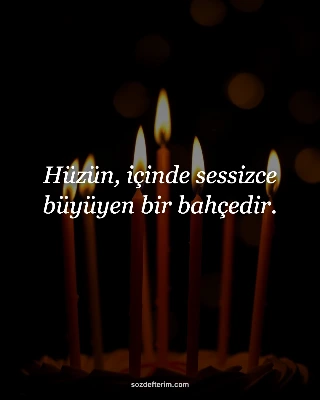 Hüzün, içinde sessizce büyüyen bir bahçedir.