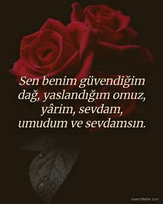 Sen benim güvendiğim dağ, yaslandığım omuz, yârim, sevdam, umudum ve sevdamsın.