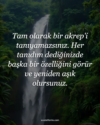 Tam olarak bir akrep'i tanıyamazsınız. Her tanıdım dediğinizde başka bir özelliğ