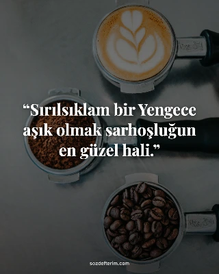 Sırılsıklam bir Yengece aşık olmak sarhoşluğun en güzel hali.