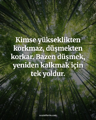 Kimse yükseklikten korkmaz, düşmekten korkar. Bazen düşmek, yeniden kalkmak için