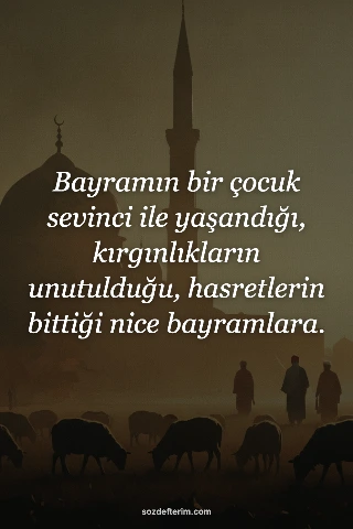 Bayramın bir çocuk sevinci ile yaşandığı, kırgınlıkların unutulduğu, hasretlerin