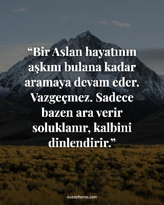 Bir Aslan hayatının aşkını bulana kadar aramaya devam eder. Vazgeçmez. Sadece ba