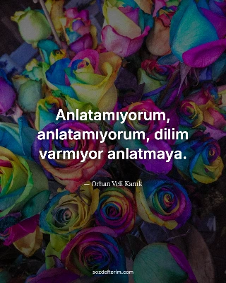 Anlatamıyorum, anlatamıyorum, dilim varmıyor anlatmaya.