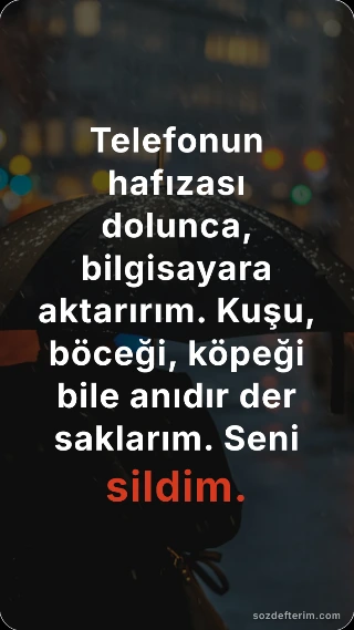 Telefonun hafızası dolunca, bilgisayara aktarırım. Kuşu, böceği, köpeği bile anıdır der saklarım…