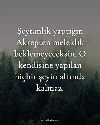 Şeytanlık yaptığın Akrepten meleklik beklemeyeceksin. O kendisine yapılan hiçbir
