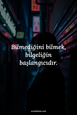 Bilmediğini bilmek, bilgeliğin başlangıcıdır.