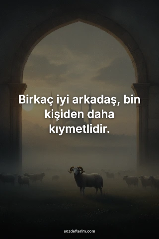 Birkaç iyi arkadaş, bin kişiden daha kıymetlidir.