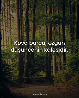 Kova burcu; özgün düşüncenin kalesidir.
