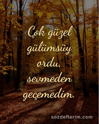 Çok güzel gülümsüyordu, sevmeden geçemedim.