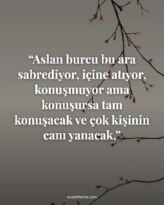 Aslan burcu bu ara sabrediyor, içine atıyor, konuşmuyor ama konuşursa tam konuşa