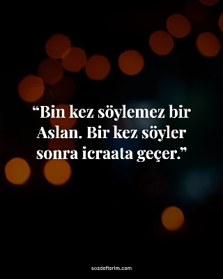 Bin kez söylemez bir Aslan. Bir kez söyler sonra icraata geçer.