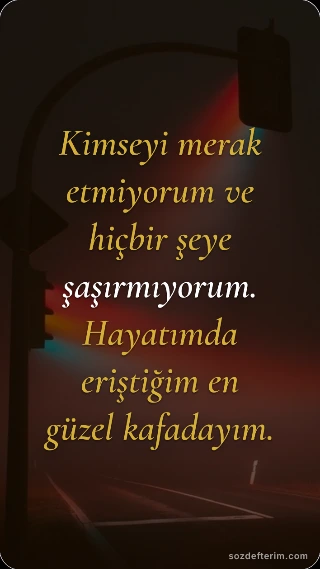 Kimseyi merak etmiyorum ve hiçbir şeye şaşırmıyorum. Hayatımda eriştiğim en güzel kafadayım.
