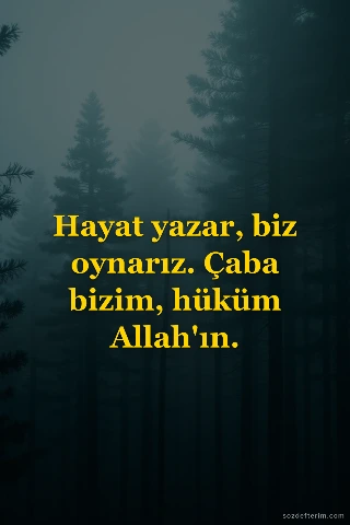 Hayat yazar, biz oynarız. Çaba bizim, hüküm Allah'ın.