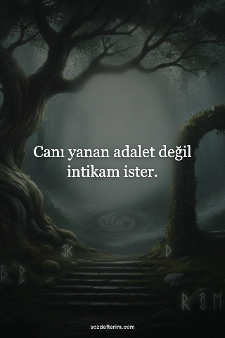 Canı yanan adalet değil intikam ister.