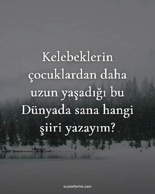 Kelebeklerin çocuklardan daha uzun yaşadığı bu Dünyada sana hangi şiiri yazayım?