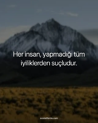 Her insan, yapmadığı tüm iyiliklerden suçludur. — Voltaire