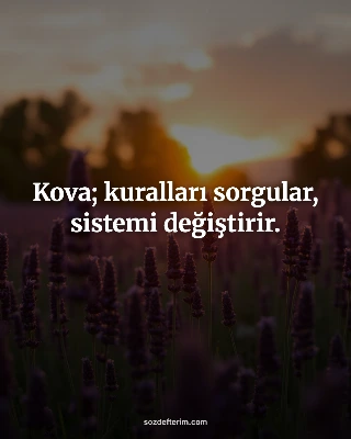 Kova; kuralları sorgular, sistemi değiştirir.