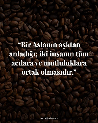 Bir Aslanın aşktan anladığı; iki insanın tüm acılara ve mutluluklara ortak olmas