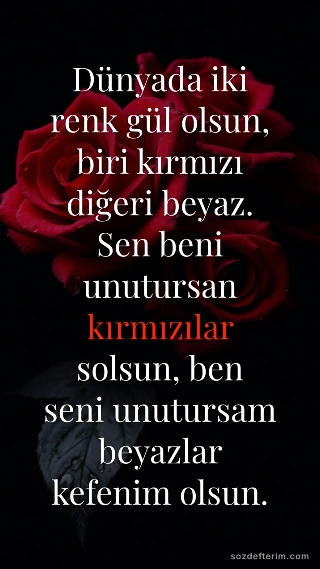 Dünyada iki renk gül olsun, biri kırmızı diğeri beyaz. Sen beni unutursan kırmız