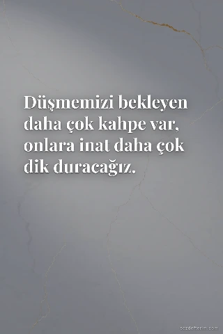 Düşmemizi bekleyen daha çok kahpe var, onlara inat daha çok dik duracağız.