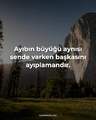 Ayıbın büyüğü aynısı sende varken başkasını ayıplamandır.
