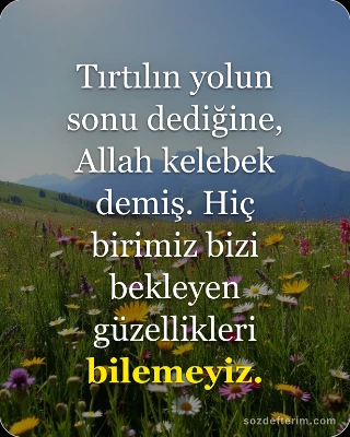 Tırtılın yolun sonu dediğine, Allah kelebek demiş. Hiç birimiz bizi bekleyen güz