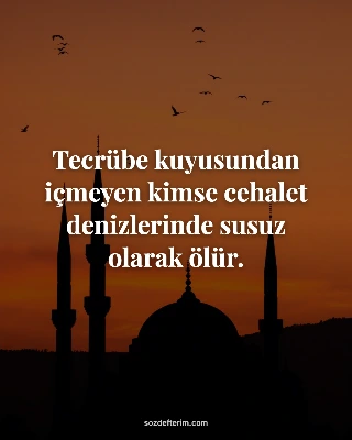 Tecrübe kuyusundan içmeyen kimse cehalet denizlerinde susuz olarak ölür.