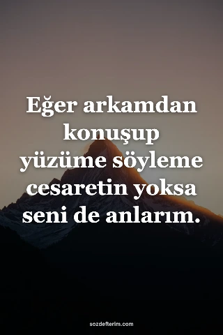 Eğer arkamdan konuşup yüzüme söyleme cesaretin yoksa seni de anlarım.
