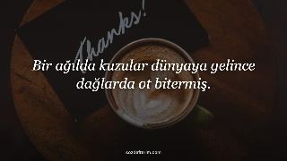 Bir ağılda kuzular dünyaya gelince dağlarda ot bitermiş.