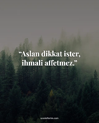 Aslan dikkat ister, ihmali affetmez.