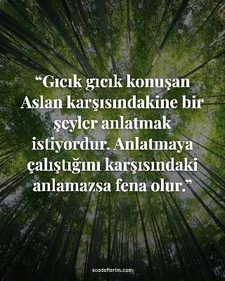 Gıcık gıcık konuşan Aslan karşısındakine bir şeyler anlatmak istiyordur. Anlatma