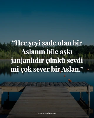 Her şeyi sade olan bir Aslanın bile aşkı janjanlıdır çünkü sevdi mi çok sever bir Aslan.