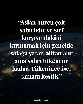 Aslan burcu çok sabırlıdır ve sırf karşısındakini kırmamak için genelde salağa y