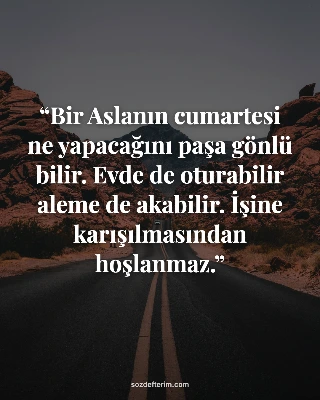 Bir Aslanın cumartesi ne yapacağını paşa gönlü bilir. Evde de oturabilir aleme d