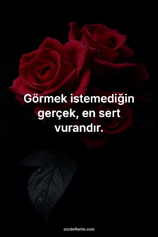 Görmek istemediğin gerçek, en sert vurandır.