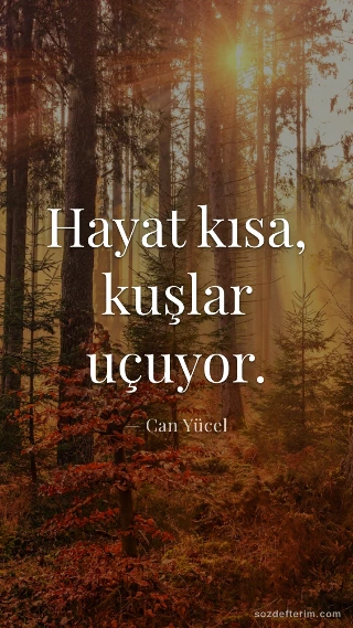Hayat kısa, kuşlar uçuyor.