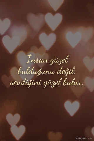 İnsan güzel bulduğunu değil; sevdiğini güzel bulur.