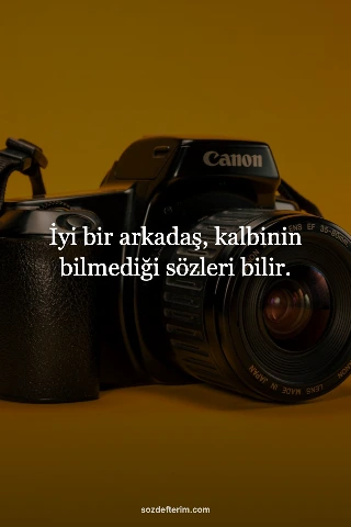 İyi bir arkadaş, kalbinin bilmediği sözleri bilir.