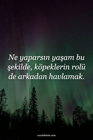 Ne yaparsın yaşam bu şekilde, köpeklerin rolü de arkadan havlamak.