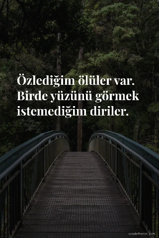 Özlediğim ölüler var. Birde yüzünü görmek istemediğim diriler.