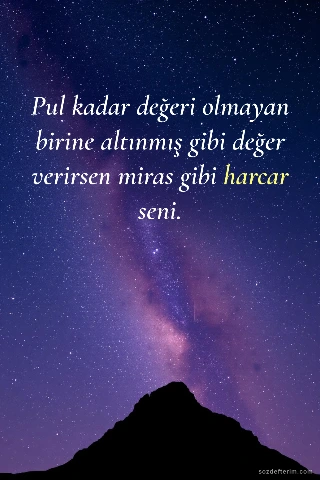 Pul kadar değeri olmayan birine altınmış gibi değer verirsen miras gibi harcar seni.