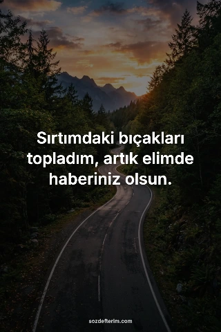 Sırtımdaki bıçakları topladım, artık elimde haberiniz olsun.