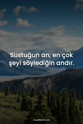 Sustuğun an, en çok şeyi söylediğin andır.