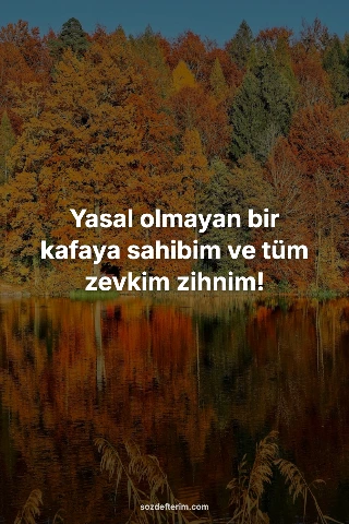 Yasal olmayan bir kafaya sahibim ve tüm zevkim zihnim!