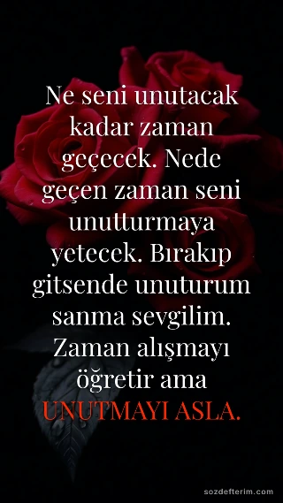 Ne seni unutacak kadar zaman geçecek. Nede geçen zaman seni unutturmaya yetecek.