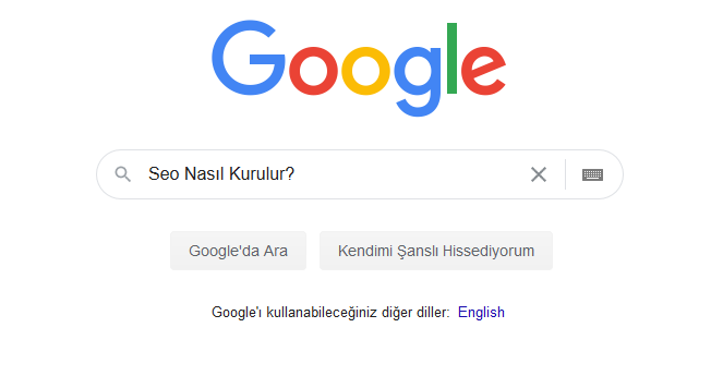 Seo Nasıl Kurulur?