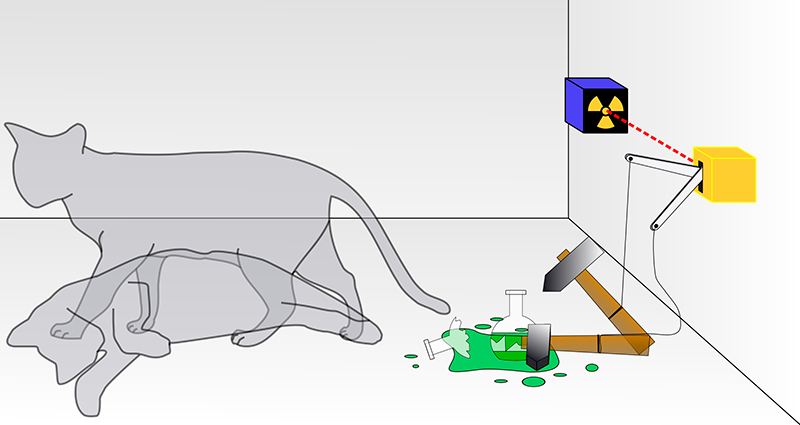 Schrödinger Gato